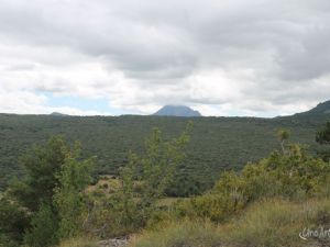 UA160730Wandeltocht21.JPG